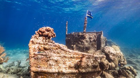 Tugboat snorkeltour catamaran