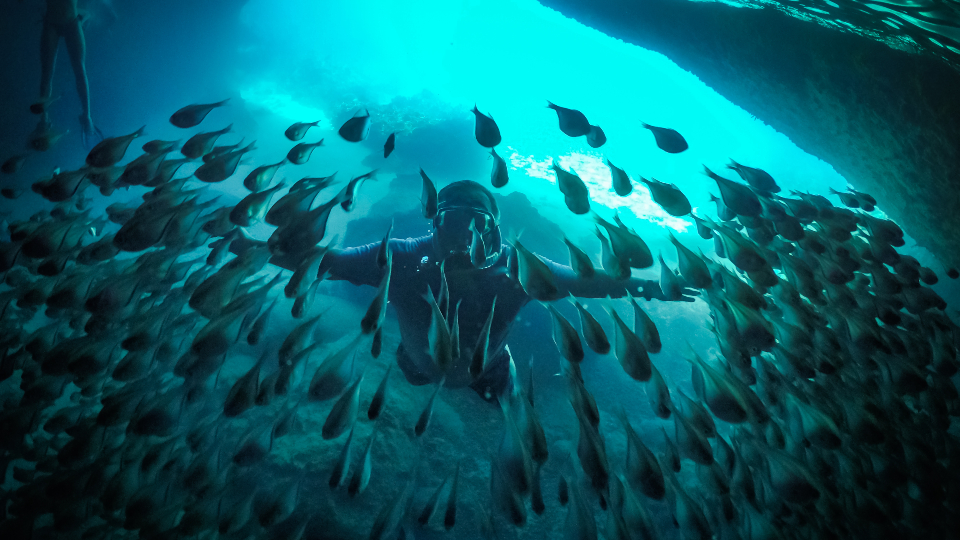 Beaches, BBQ & Blue Room 14 westcoast blue room catamaran vissen 960x540 1