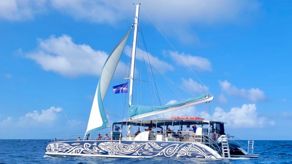 klein curacao bluefinn2 zeilen 960x540 1